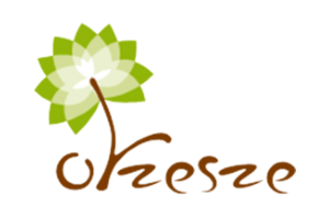 Orzesze - logo 01